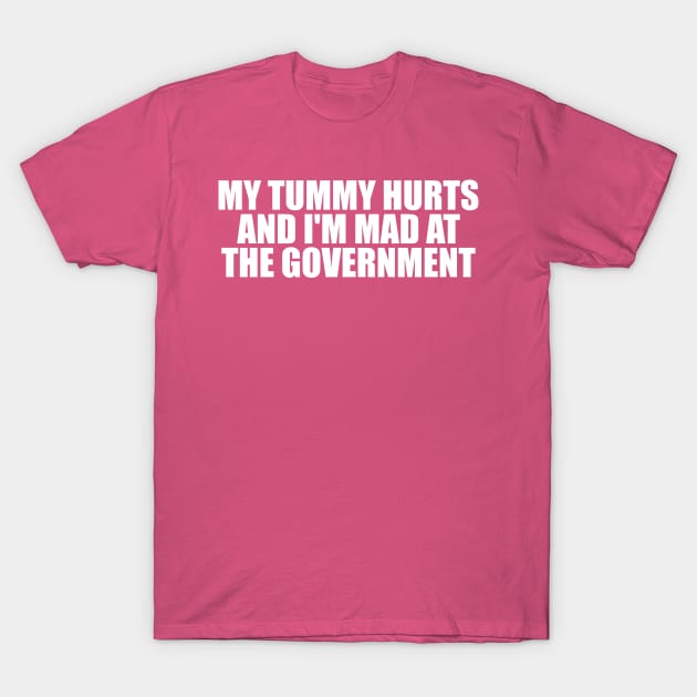 My Tummy Hurts and I'm Mad at the Government Funny Meme T Shirt Gen Z Humor, Tummy Ache Survivor, Introvert gift T-Shirt by ILOVEY2K